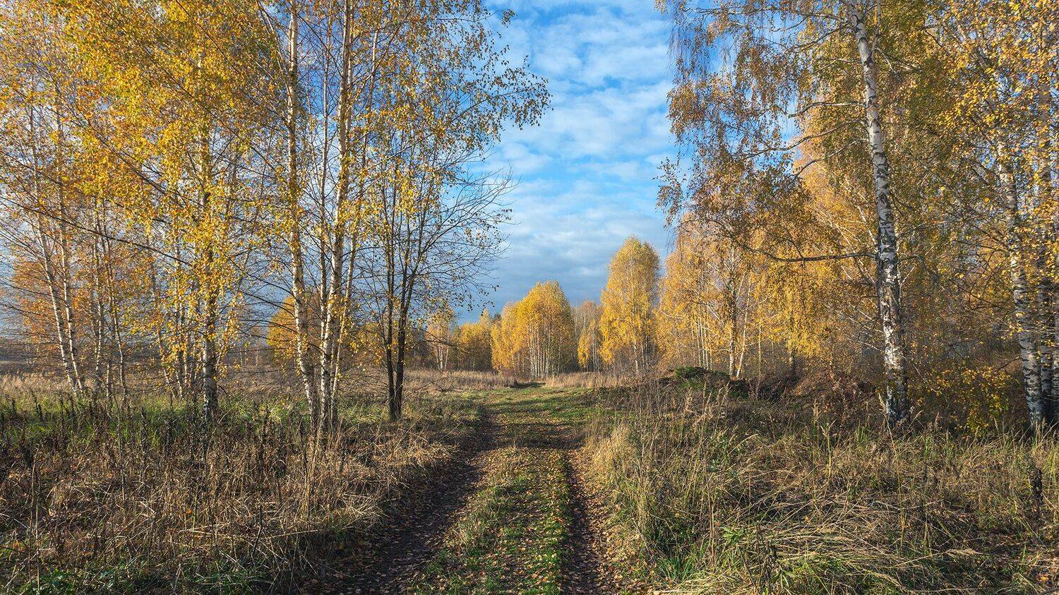 , Андреев Николай
