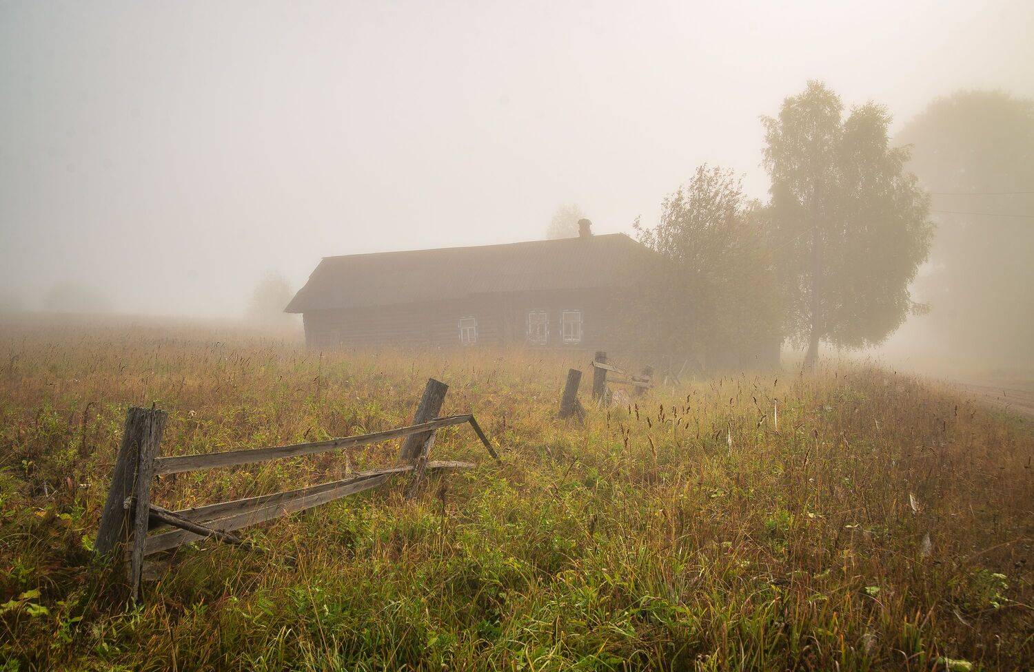 , Шуплецов Алексей