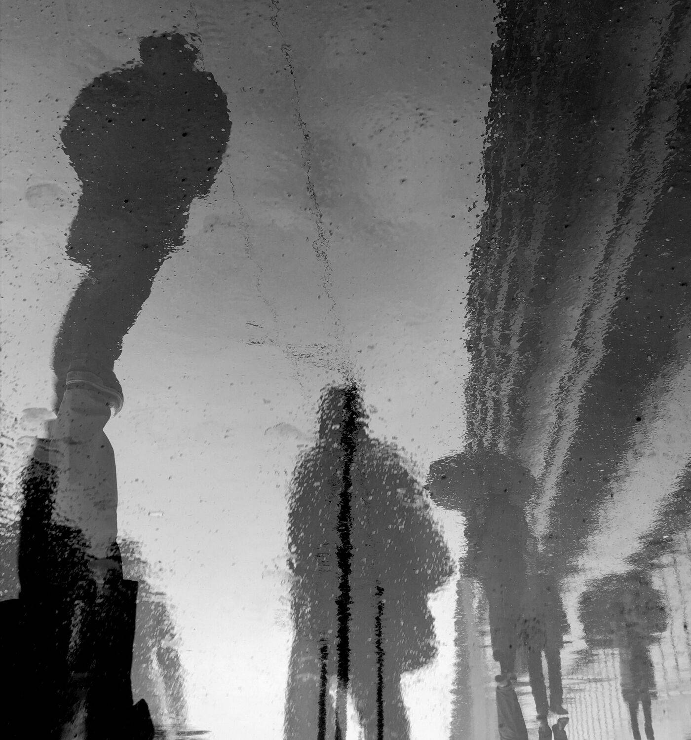 , Антон Лаба