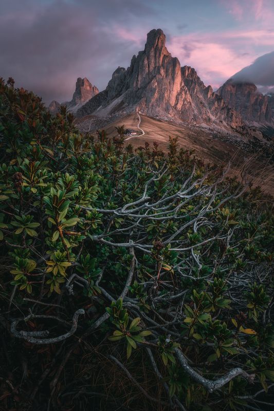 The Awakening фото превью