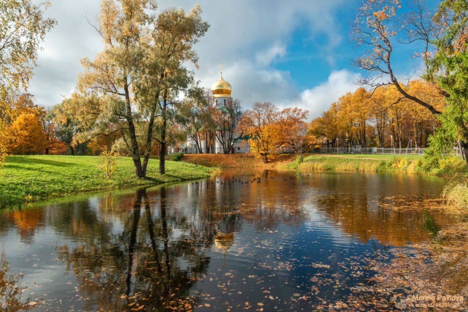 город, архитектура, город пушкин, городской пейзаж, царское село, фермский парк, собор феодоровской иконы божией матери, храм, золотая осень, пригороды петербурга, nikon, Павлова Марина
