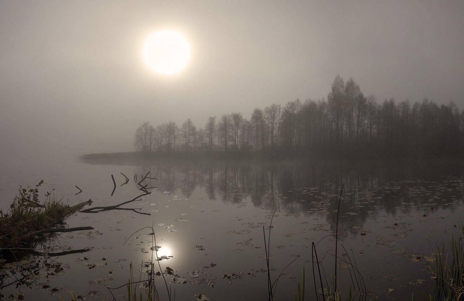 оз. днико, туман, Юрий Андреев