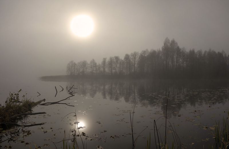 оз. днико, туман Туман на оз. Днико фото превью