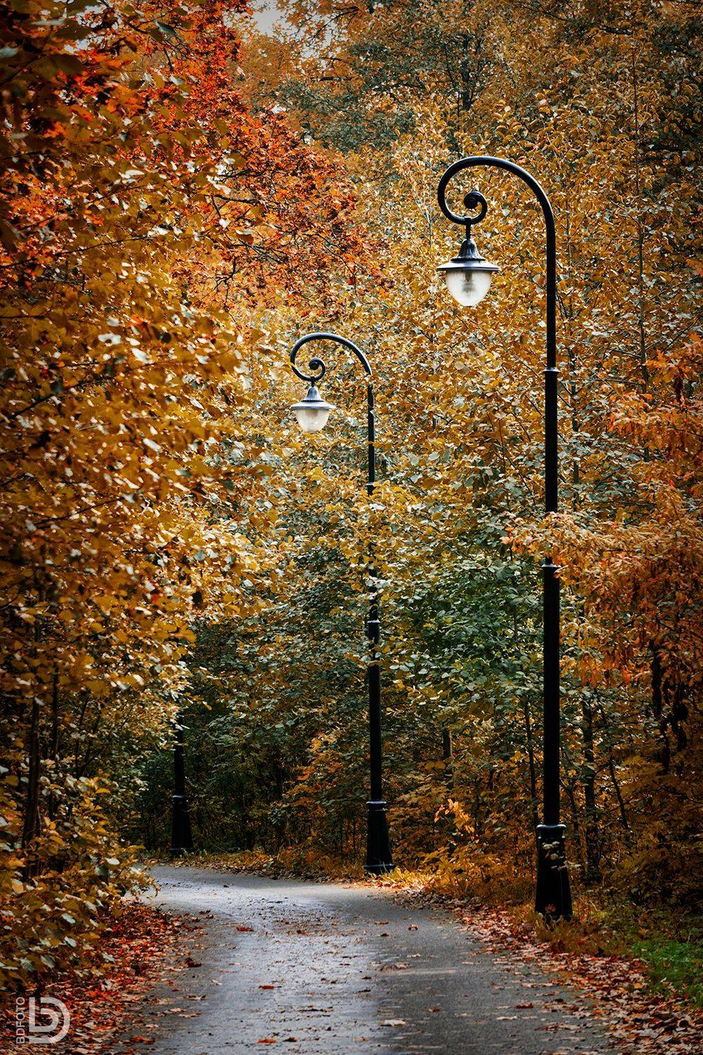 , Дмитрий Бакулин