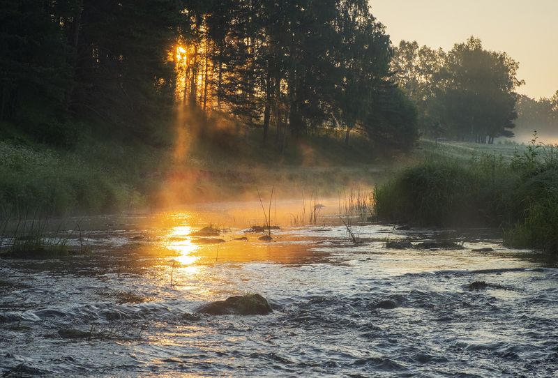 Луч солнца золотого фото превью
