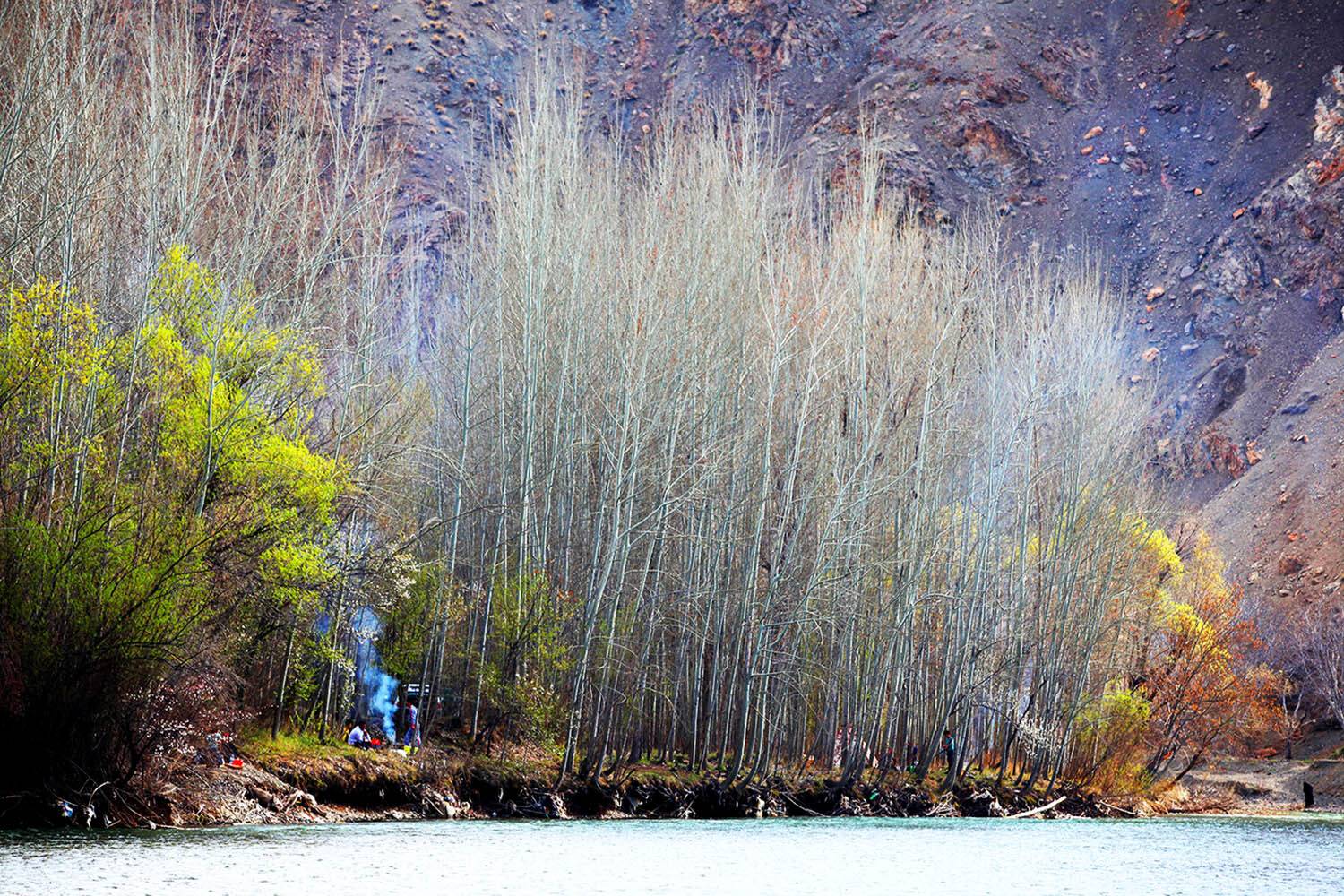 , mehdi karimi souderjani