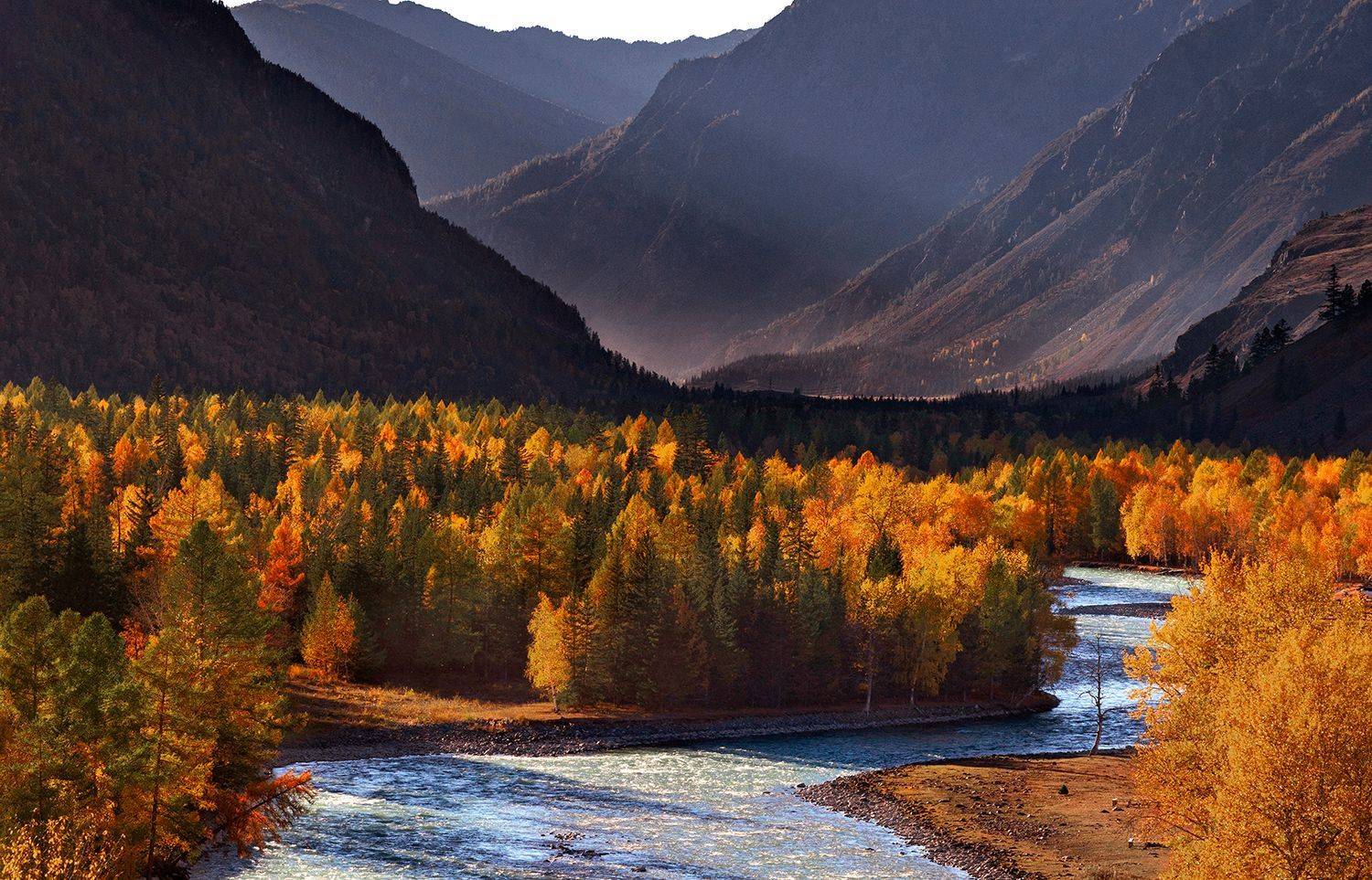 , Алексей Родак