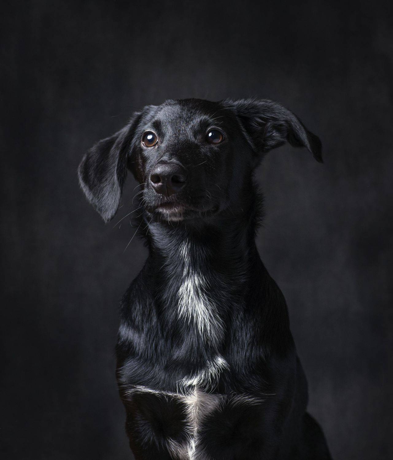 , Максим Вышарь