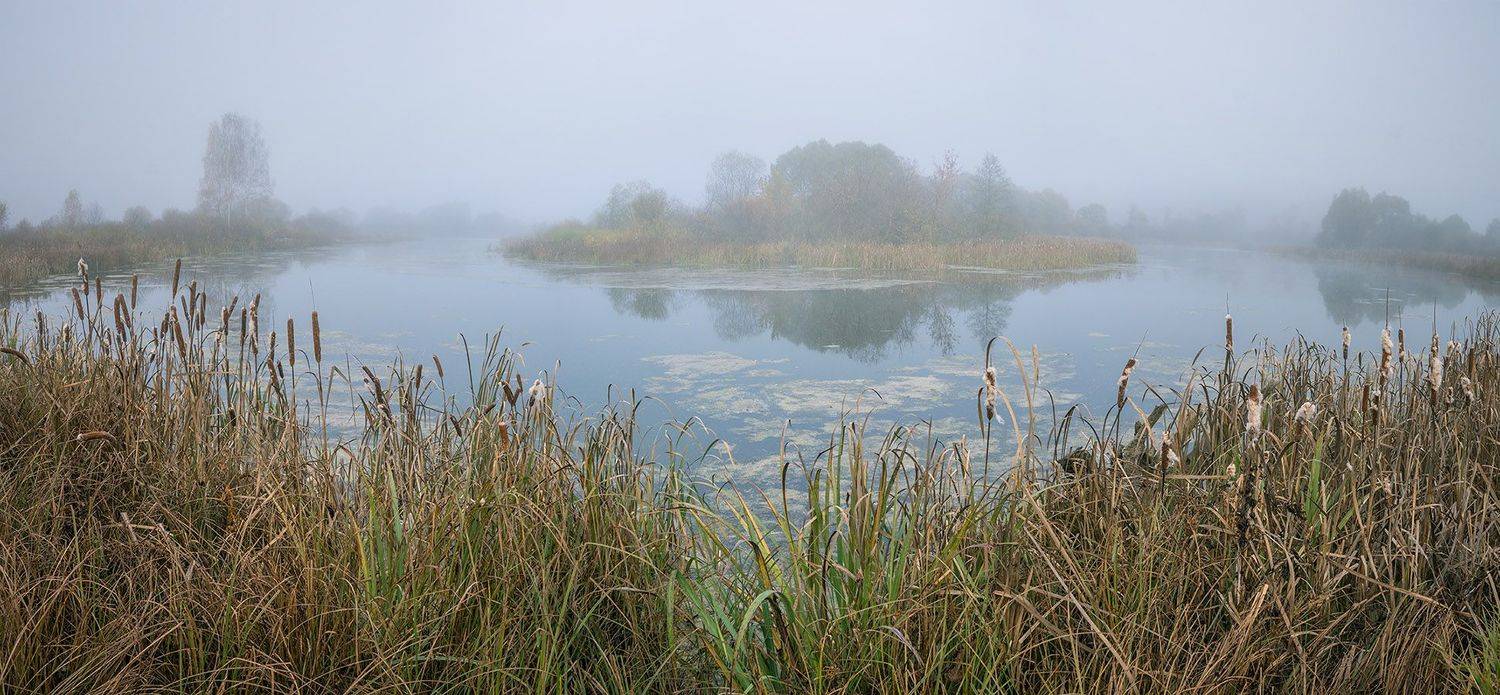 , Анатолий Зверев