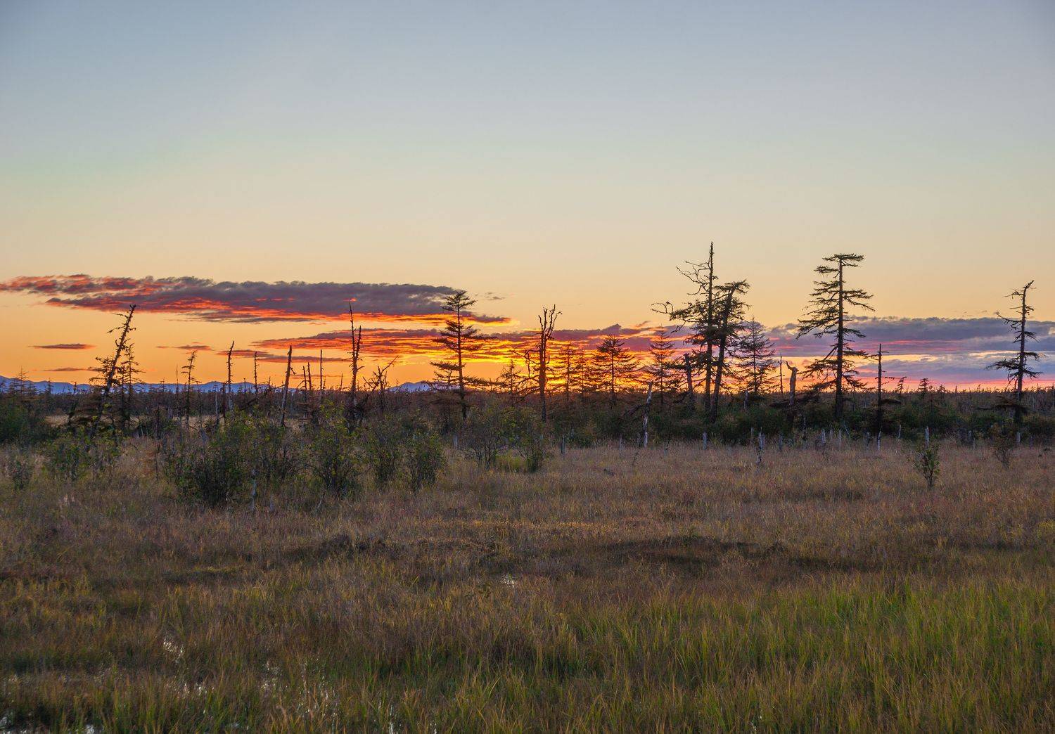 , Андрей Загребельный