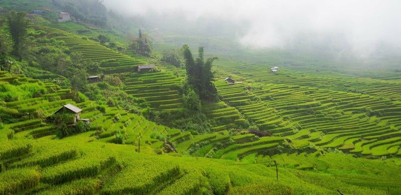 Y ti terraces фото превью