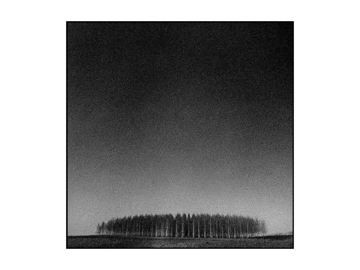 , Меднов Влад