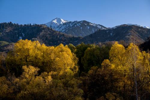 Осень в Заилийском Алатау