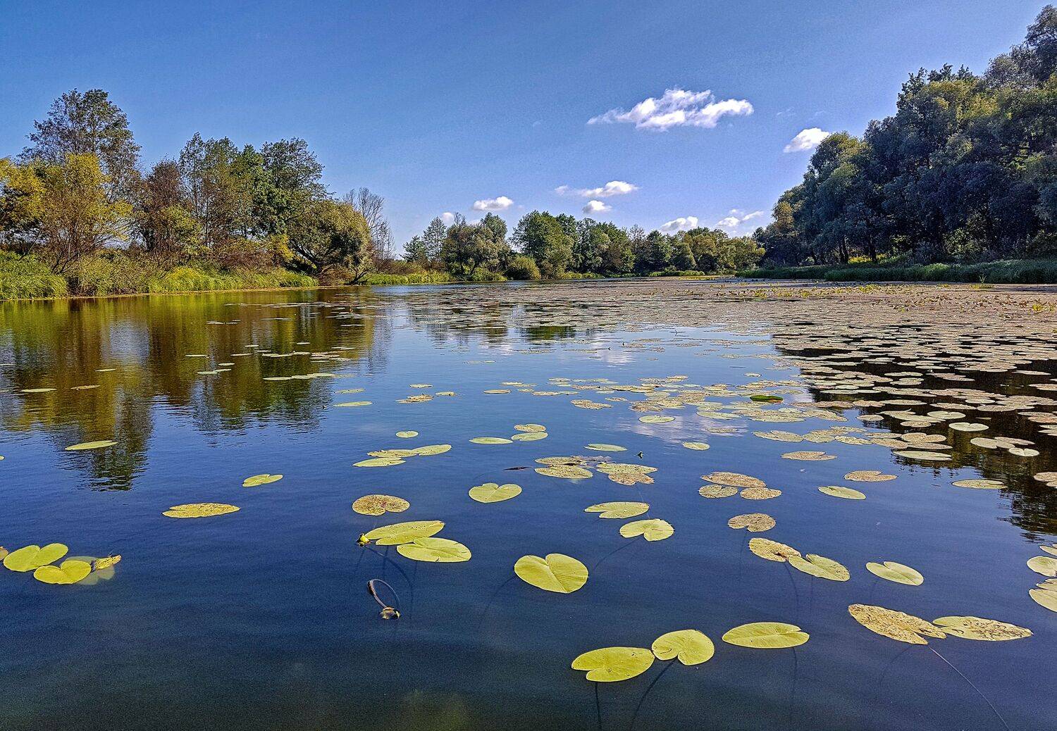 пейзаж, красота, природа, Александр Березуцкий