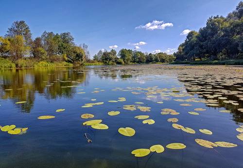 Озеро Старая речка