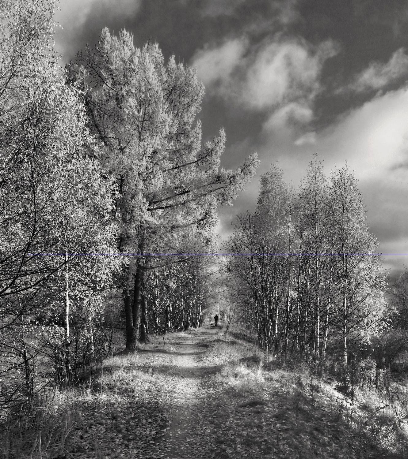 , Сергей Григорьев