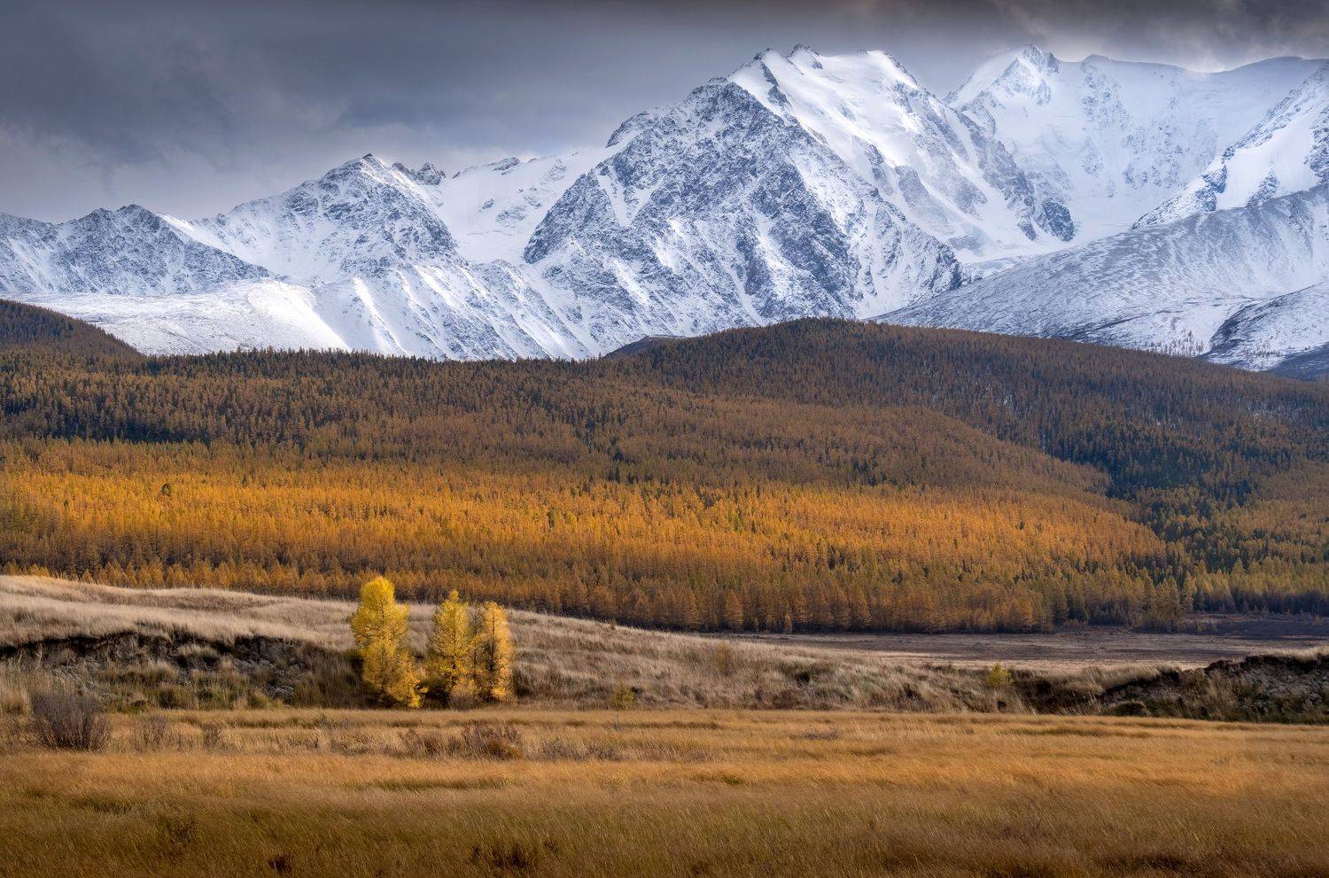 алтай, горы, нд, ештыкёль, фототур на алтай, республика алтай, фототур, осень, что такое осень?, осень на алтае, горный алтай, ештыккель, золотой алтай нд, золотой алтай, Nadezhda Demkina