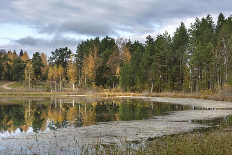 осенний блюз  фото превью