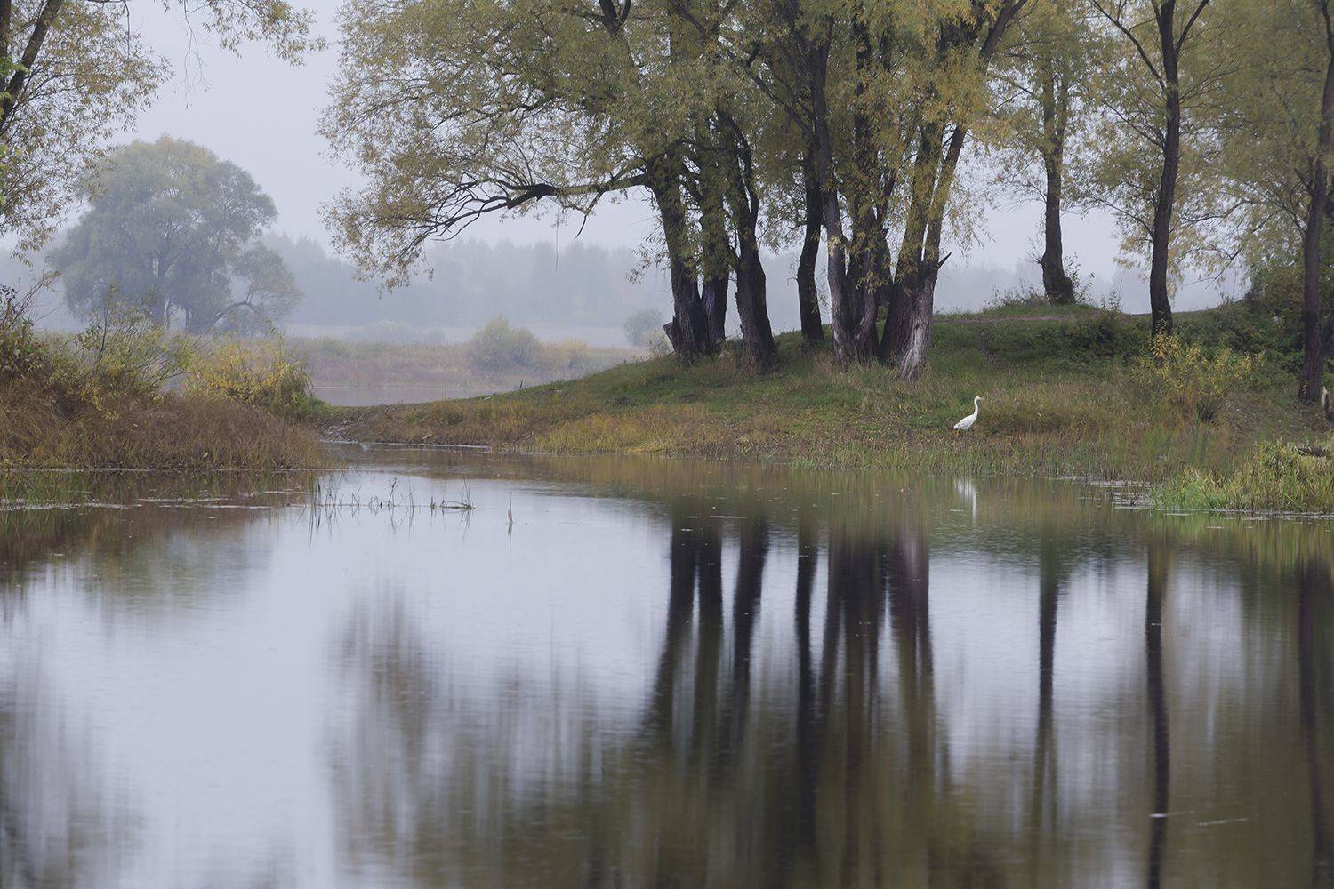 , Волоцков Александр