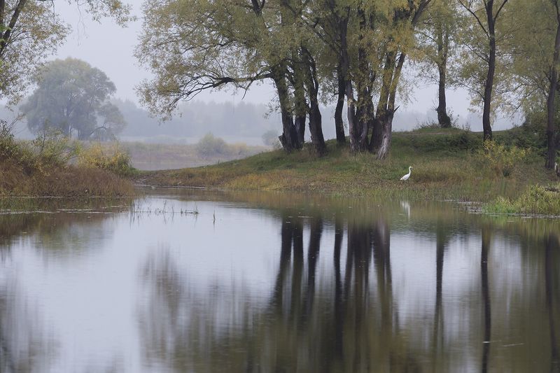 у воды фото превью