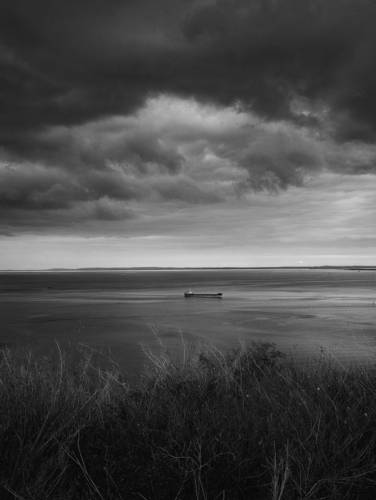 В цвете вчерашних чувств.