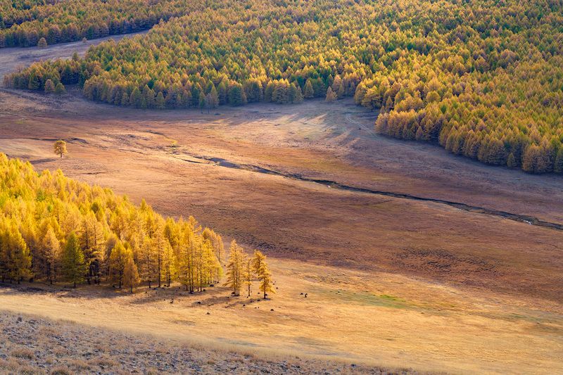 Просто осень...  Тыва. фото превью