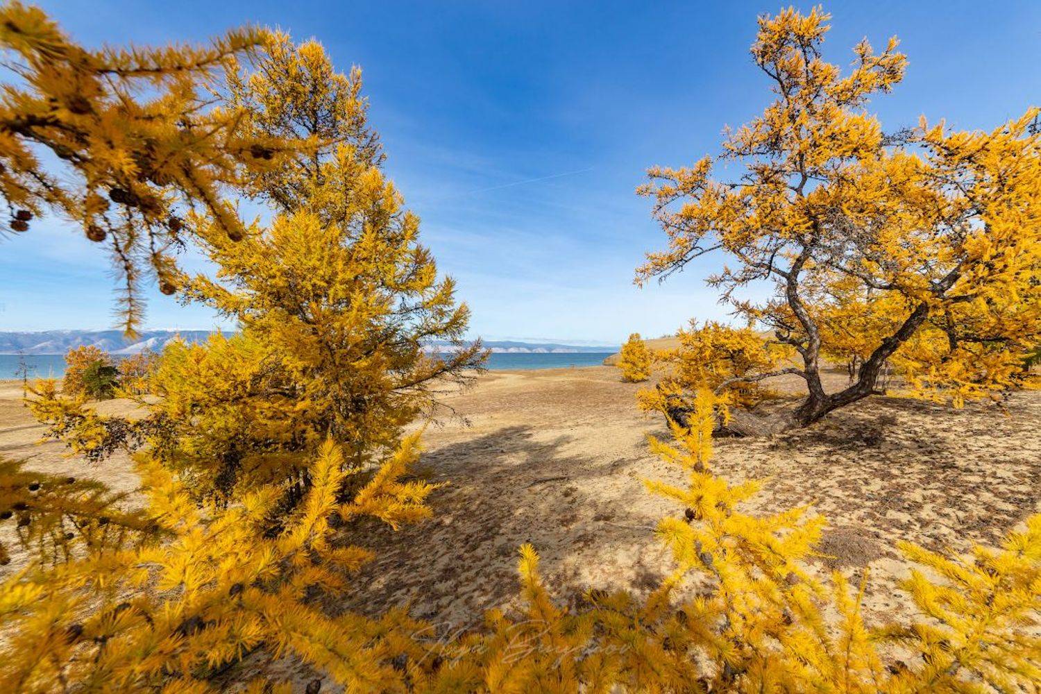 ольхон, байкал, olkhon, baikal, Буянов Илья