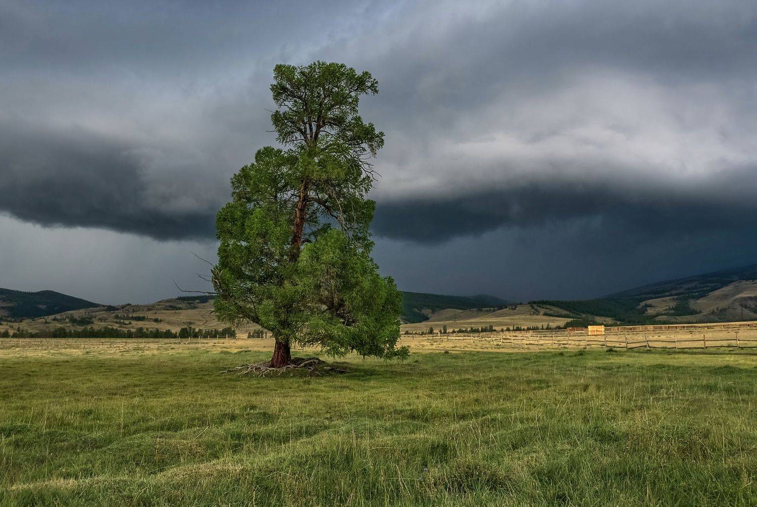алтай, непогода, снеговая туча, Марина Фомина