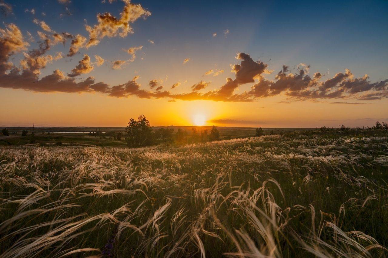 , Антонов Антон