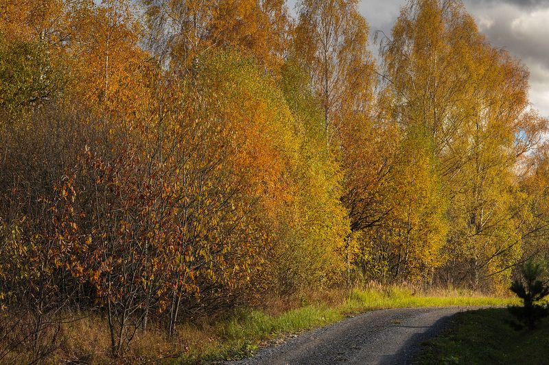 Gold фото превью