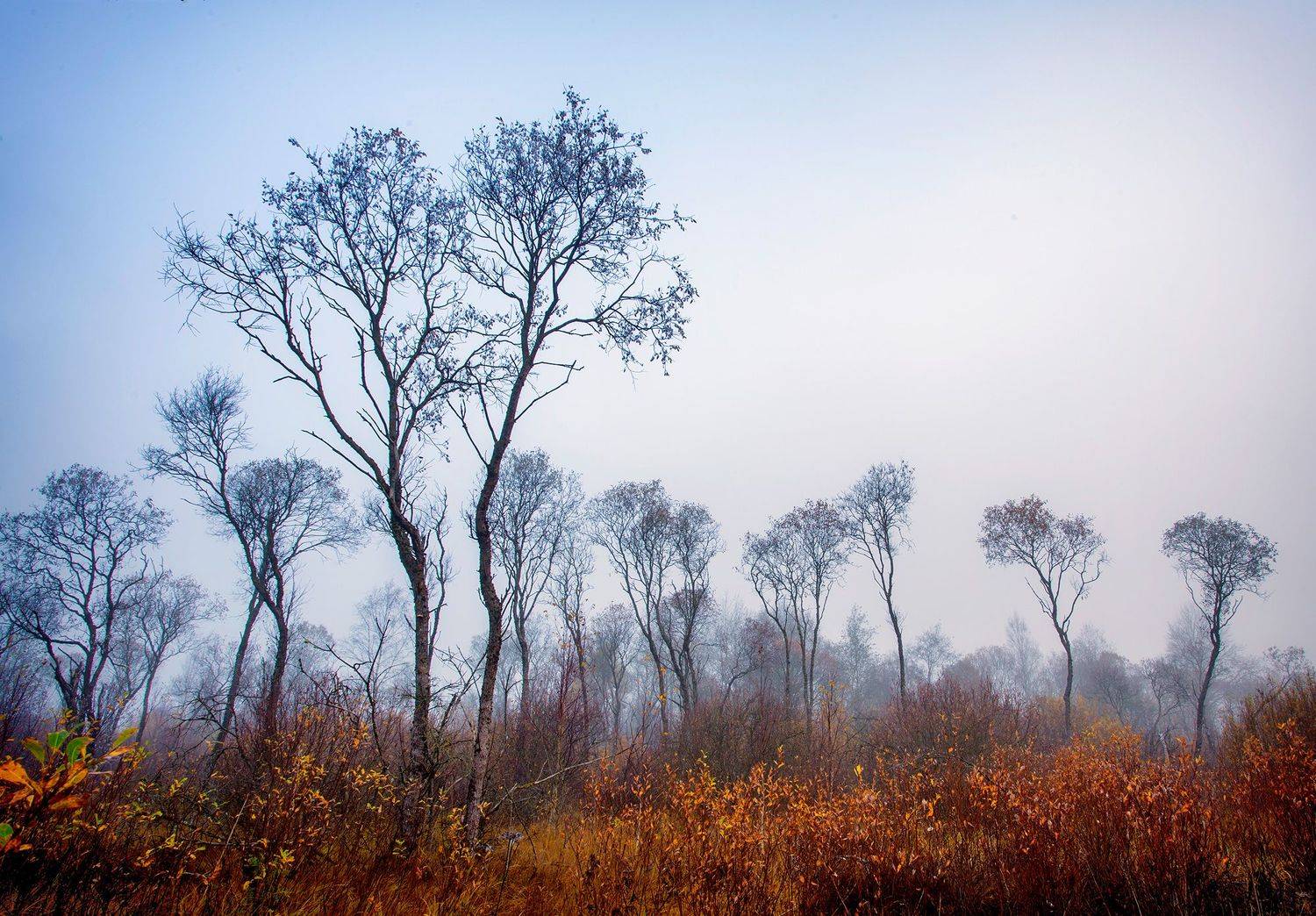 , Сергей Четвертной