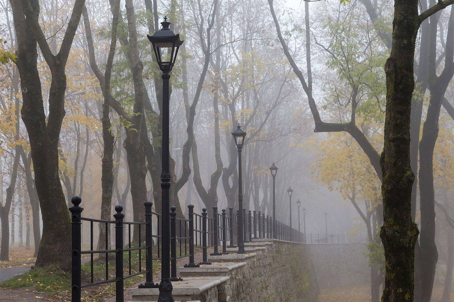 нарва, осень, темный сад, Сергей Четвертной