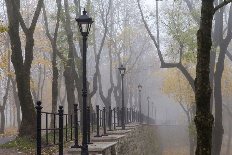 нарва, осень, темный сад  фото превью