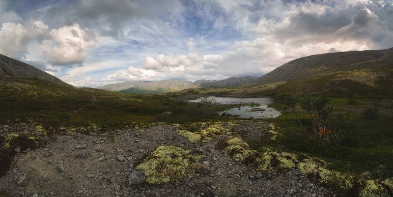У Южного Рисчорра фото превью