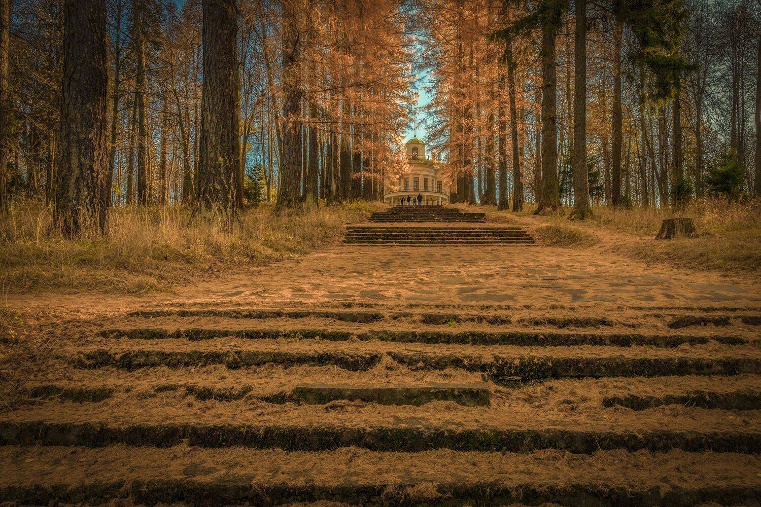 московская, область, Гусева Елена