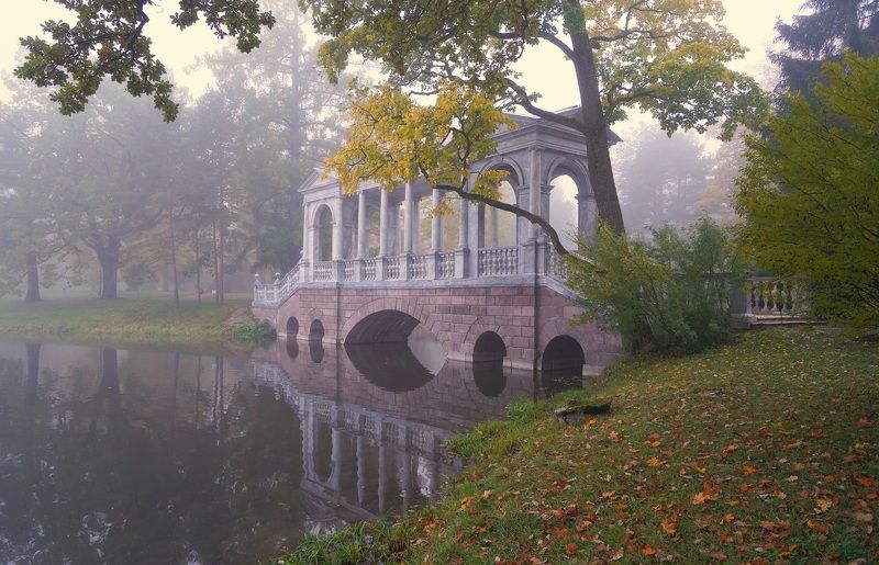 Autumn morning фото превью