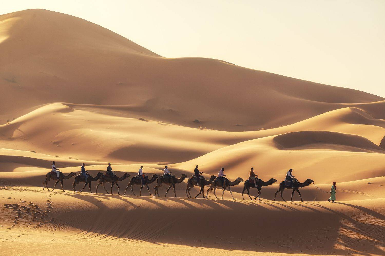 , Костадин Маджаров