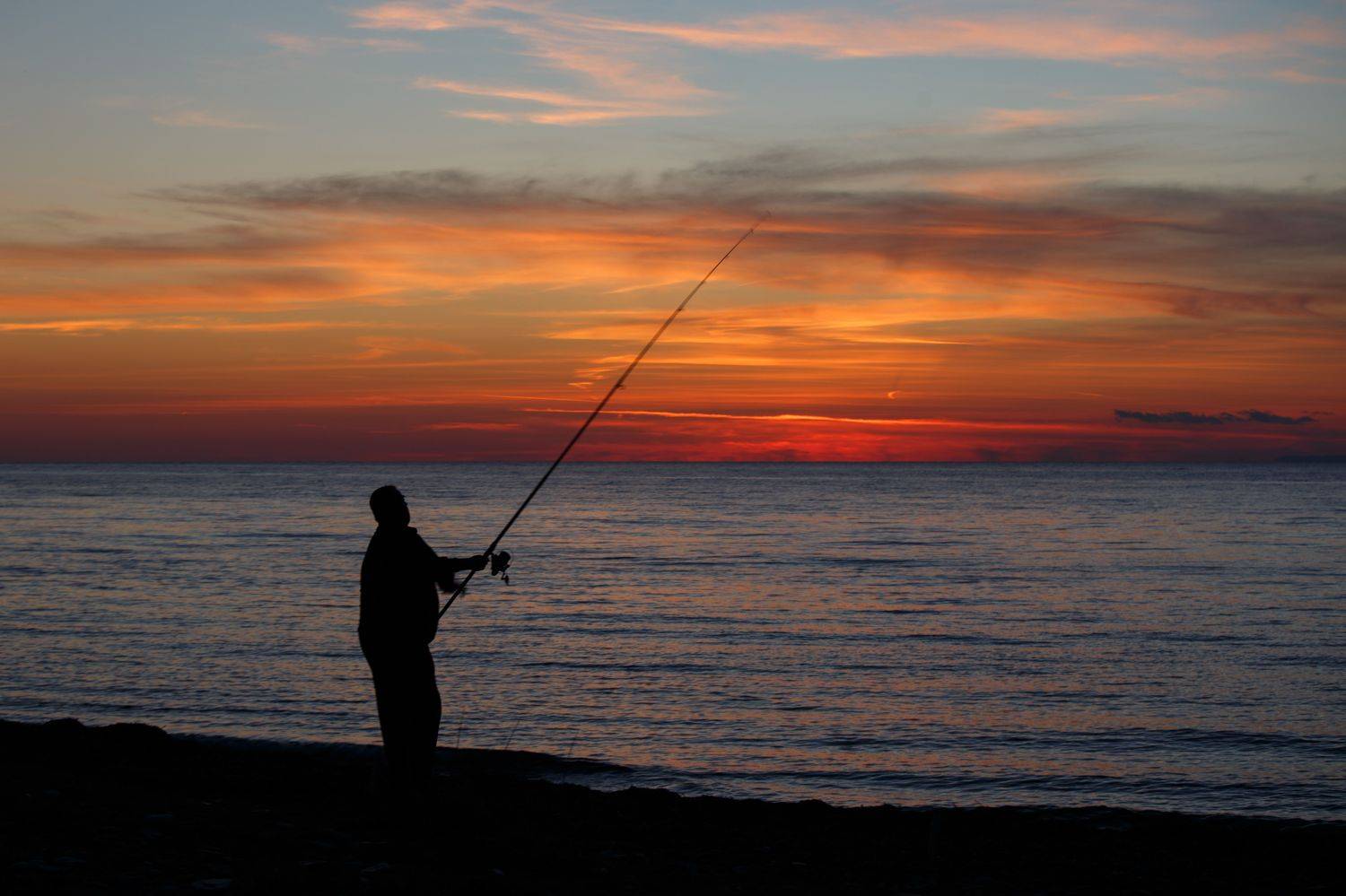 , Ирина Костова