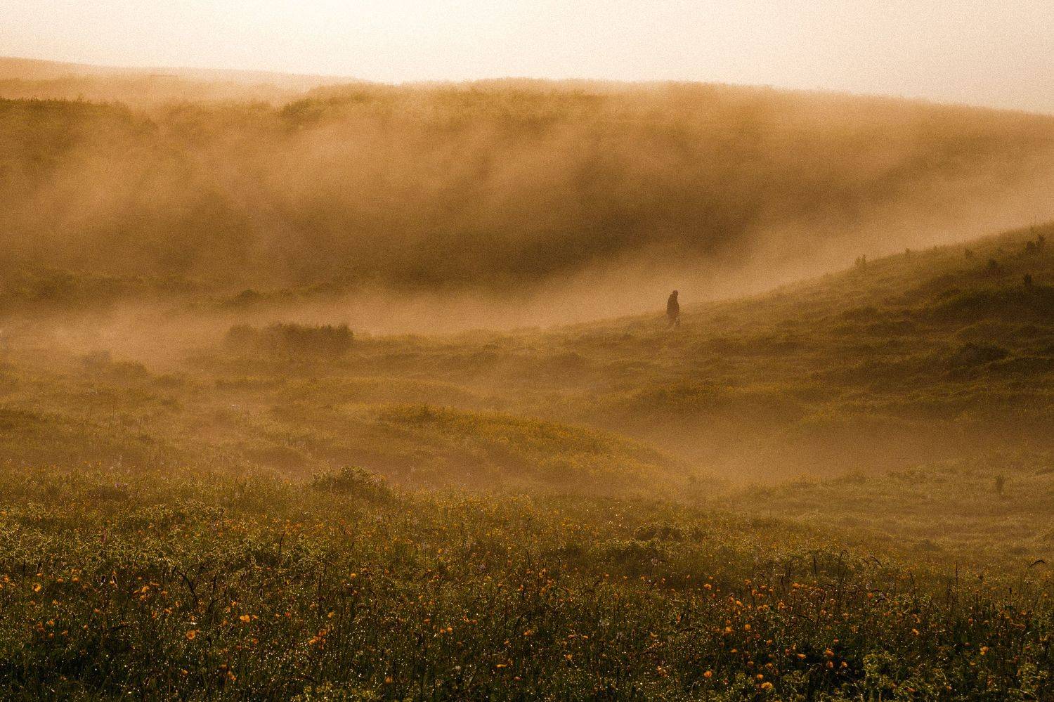 горы, рассвет, оштен, туман, Елена Шевченко