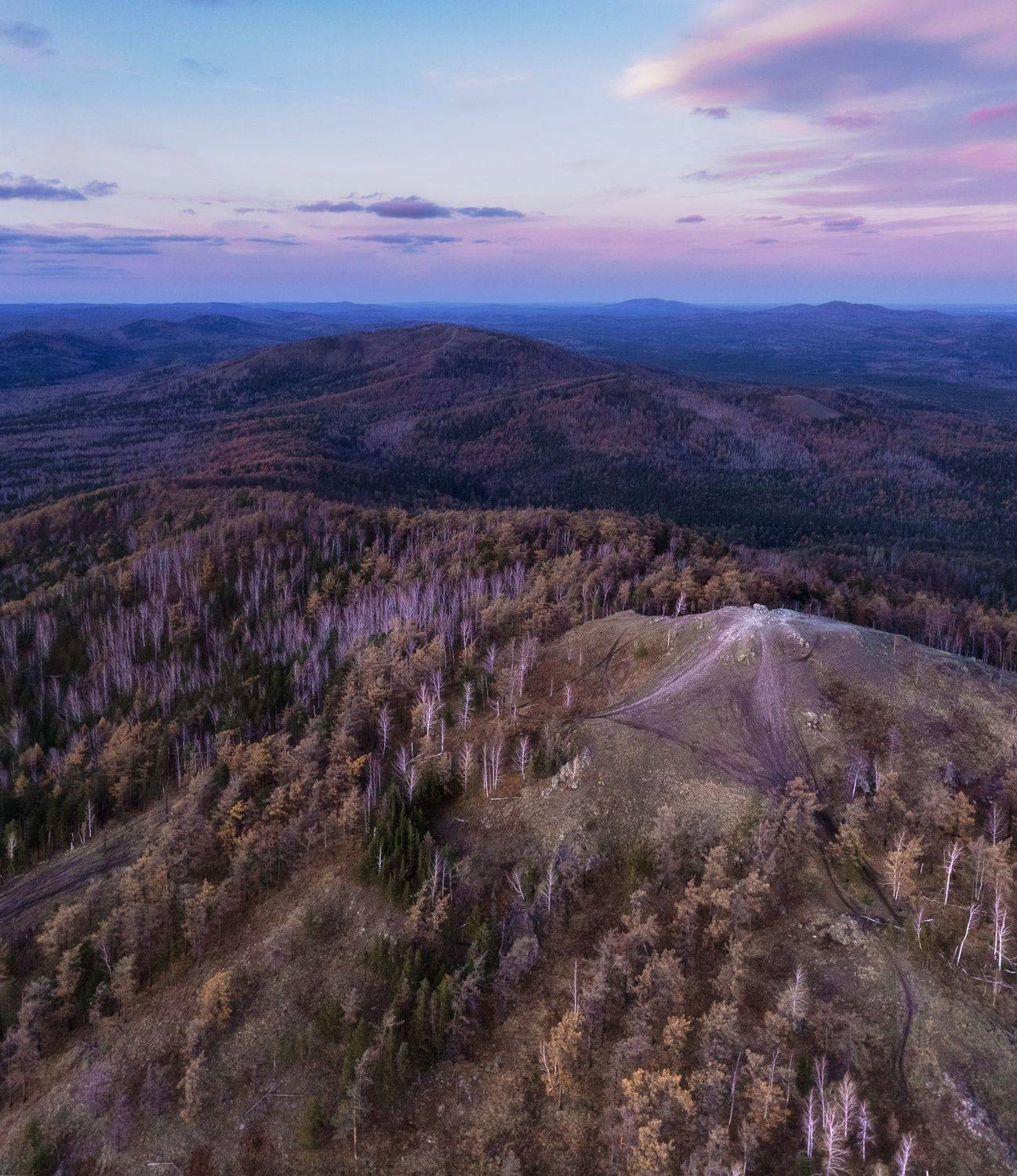 , Дмитрий Жучков