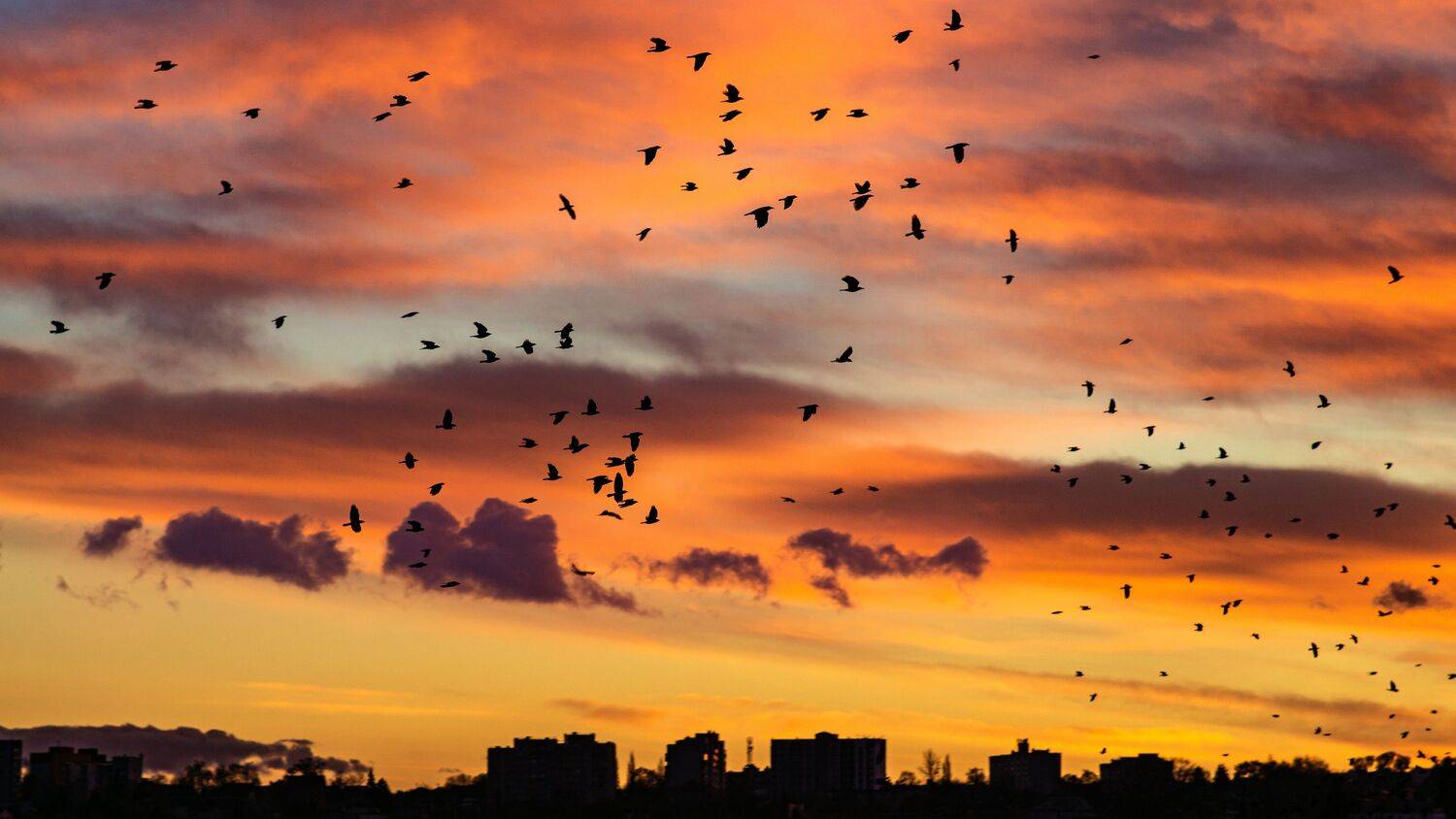 , Юрий Вертиков