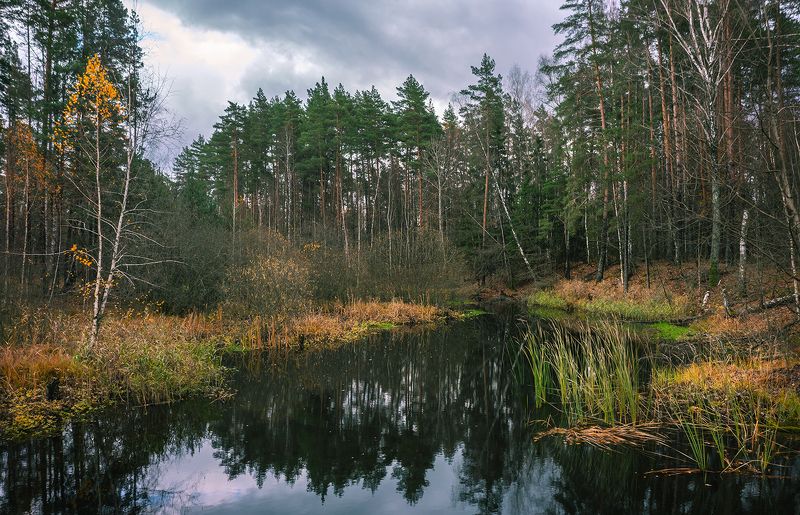 Поздняя осень фото превью