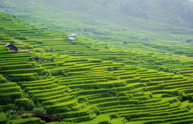 Y ti terraces фото превью