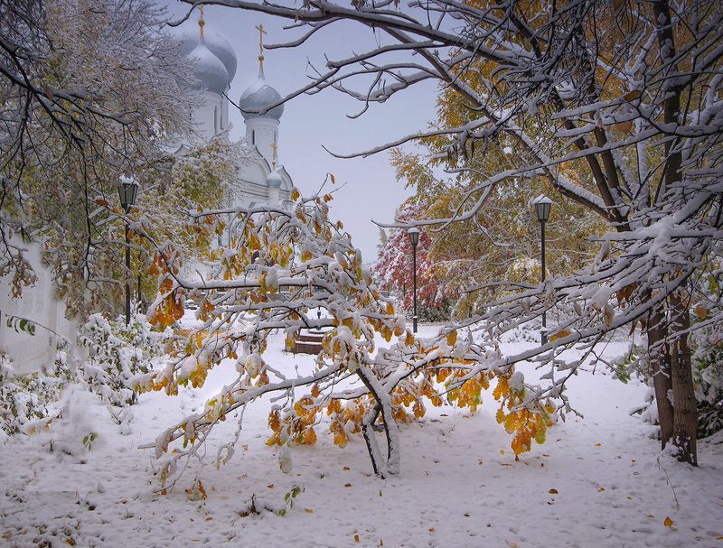В зимнем наряде фото превью