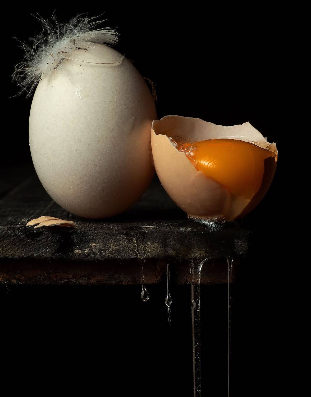 , Дмитрий Чернин