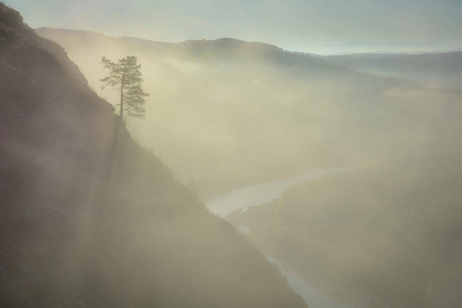 россия, сибирь, кузбасс, осень, октябрь, утро, туман, дерево, сосна, река кондома, холм, Холзаков Вячеслав