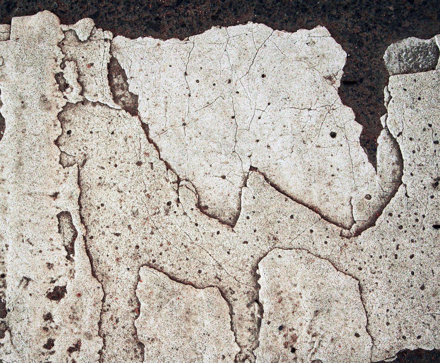 pareidolia, Илья Илья