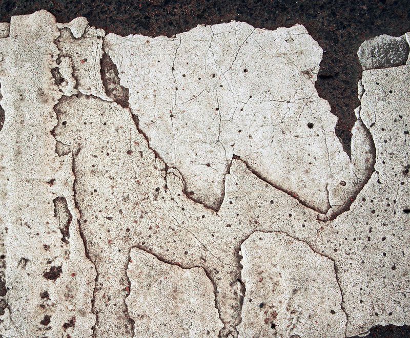 pareidolia Носорог и ? (дорожная разметка) фото превью