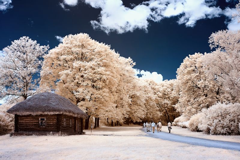 ir, infrared  фото превью