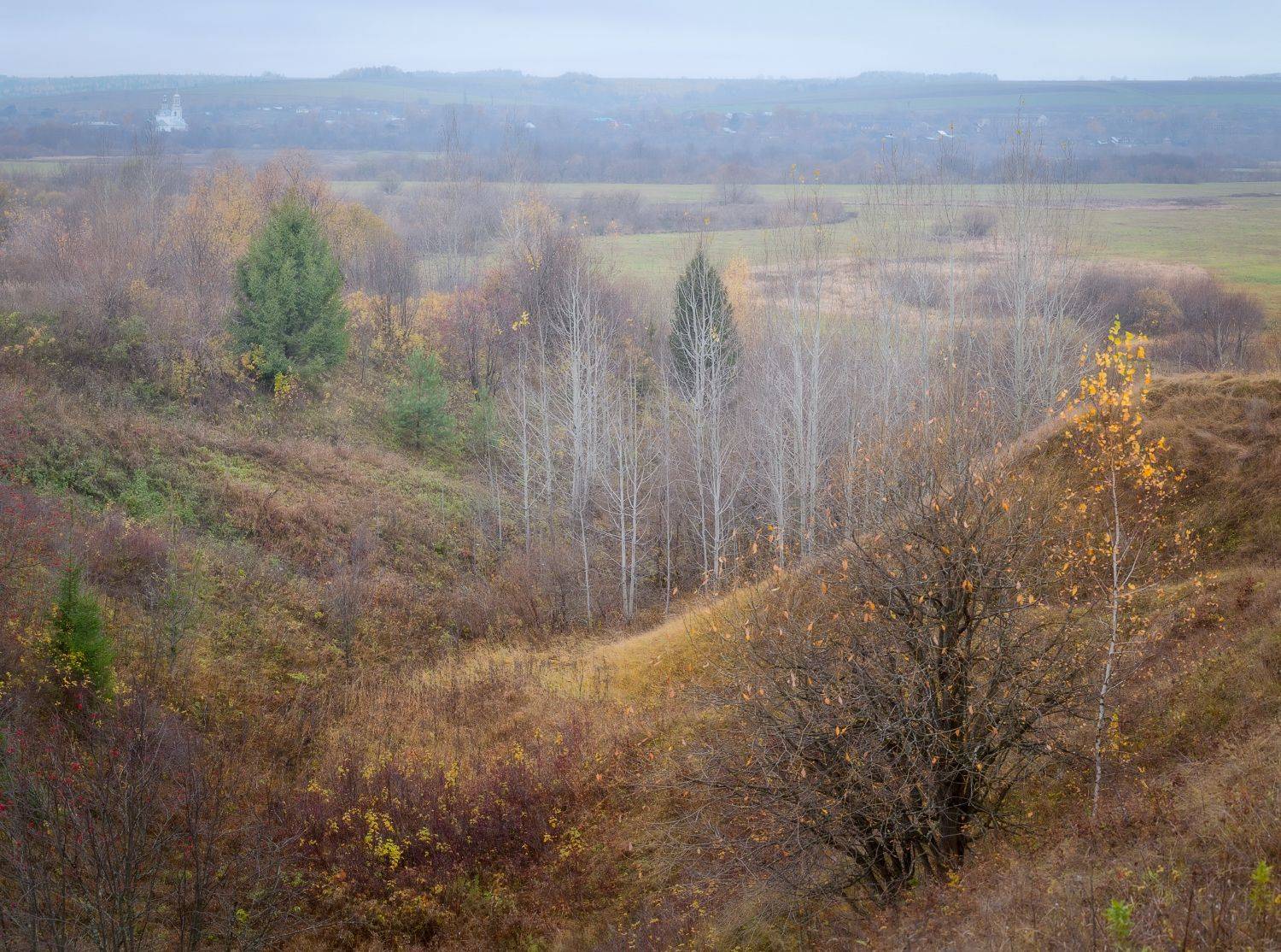 осень октябрь утро туман пасмурно береза, Сергей Буторин